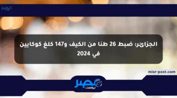 الجزائر: ضبط 26 طنا من الكيف و147 كلغ كوكايين في 2024